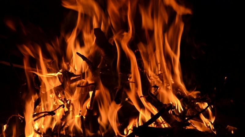 木　燃える　焚火